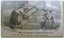 ottocento.jpg