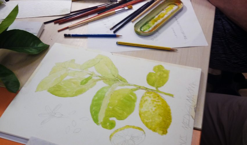 Le scienze con il pennello: lavori in corso!