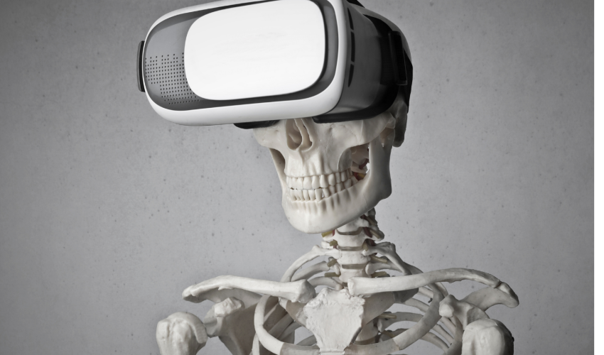 Il nostro scheletro e oltre..