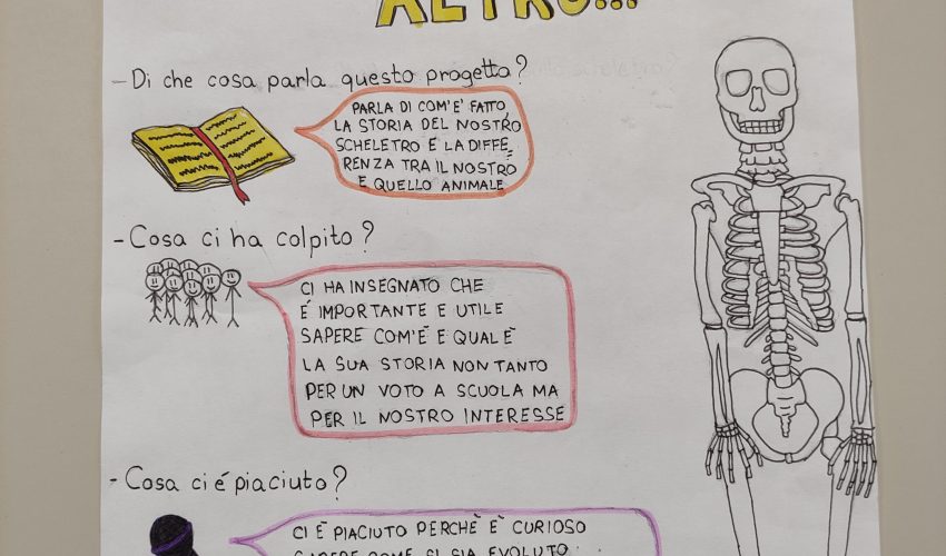 Il nostro scheletro e oltre: infografiche, presentazioni e video.