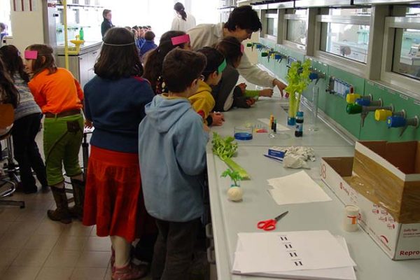 OpenLab nuovo partner scientifico per le attività educative 2022-23