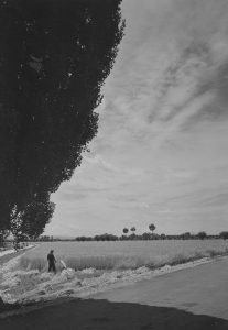 “Frammenti, immagini dal mondo rurale”: mostra fotografica gratuita all’Accademia dei Georgofili dal 18 marzo al 4 giugno 2026