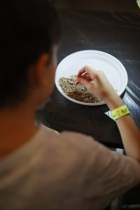 La scuola finisce, ma il talento resta: ecco i vincitori dei percorsi STEAHMiamoci